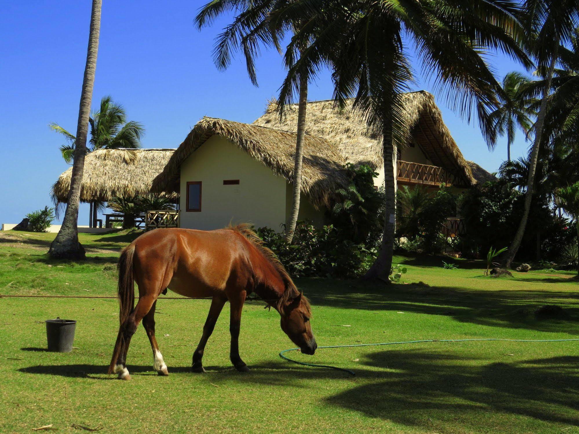 Villa Punta Coral El Francés Eksteriør billede